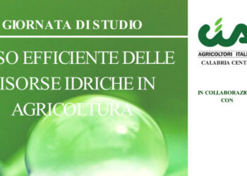 “L’uso efficiente delle risorse idriche in agricoltura”, giornata di studio a Crotone il 19 ottobre