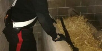 Rinvenuto fucile e munizioni in un fienile a Isola Capo Rizzuto, un arresto