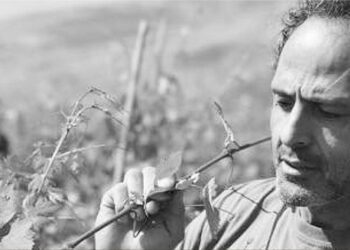 Sergio Arcuri tra le 60 cantine, 130 vecchie annate al “Life of Wine” un evento unico nel mondo del vino