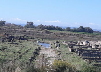 Sibari, Corrado (M5s): Se le trincee drenanti hanno fallito, lo Stato ammetta le proprie responsabilità e chiuda il Parco