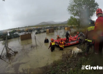 VIDEO. Vigili del Fuoco e Volontari eroi salvano circa 300 cani al Rifugio dell’Associazione Argo di Cirò Marina