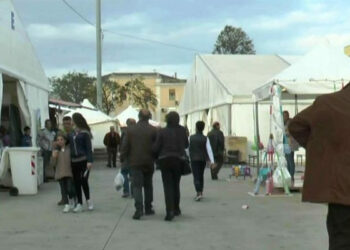 Fiera di Crotone: Argentieri Piuma (FI) a favore dei commercianti degli imprenditori e degli artigiani crotonesi