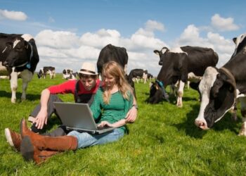 Pacchetto Giovani 2016: istituita una task force, prorogato il bando