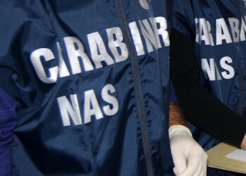 Controllo Carabinieri nel settore Agricolo: trovato in azienda a Cutro lavoratore indiano senza permesso soggiorno