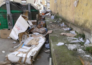 A Crotone si passeggia tra rifiuti ingombranti e… deiezioni canine