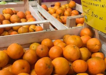 Coldiretti: gli agrumi calabresi spopolano nei mercati di Campagna Amica di Veneto, Lombardia, Piemonte ed Emilia