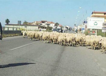 Alla fascia jonica calabrese serve una superstrada a 4 corsie due per ogni senso di marcia