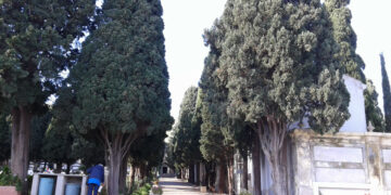 Crotone, ripristinare l’antico ingresso in granito del cimitero