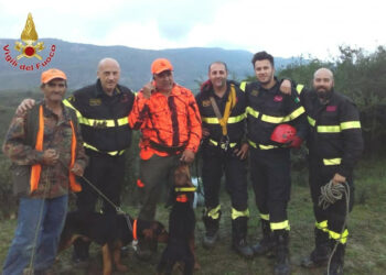Durante una battuta di caccia Cane precipita in un dirupo, salvato dai Vigili del Fuoco di Cirò Marina