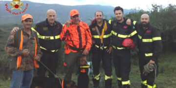 Durante una battuta di caccia Cane precipita in un dirupo, salvato dai Vigili del Fuoco di Cirò Marina