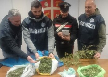 Insospettabile famiglia gestisce mercato della Droga Fai da te: i Carabinieri arrestano padre, madre e figlio