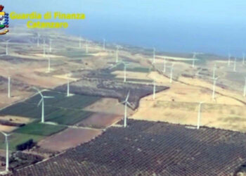 La senatrice Corrado sui parchi eolici in Calabria: “Don Chisciotte può ancora vincere.”