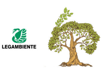 Legambiente celebra la “Festa dell’Albero” per piantare gli alberi dell’accoglienza e della solidarietà