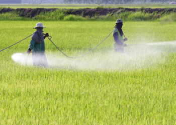 Nuovo stop al glifosato, Oliverio: “La Calabria prima regione in campo”