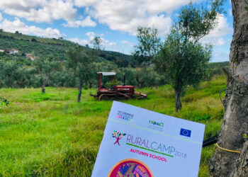 Regione Calabria: Prosegue il Rural Camp, oggi la consegna degli attestati di partecipazione