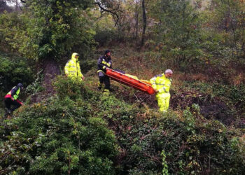 Ritrovato vivo l’83enne disperso ieri mentre cercava funghi nelle campagne Carlopoli
