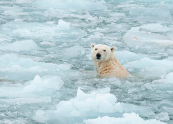 Sabato 15 dicembre, conferenza all’ITI Guido Donegani di Crotone sui cambiamenti climatici