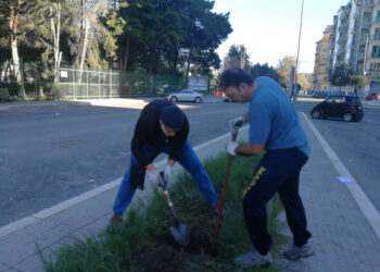 Domenica 9 dicembre, alcuni cittadini volontari, hanno messo a dimora 30 nuovi alberi a Crotone