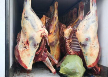 Fermato autocarro con 29 quintali di carne priva di bollatura sanitaria, deferiti 3 cittadini campani