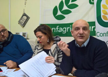 Cirò Marina, IMU 2012 e 2013: Pirito, Panteca e Malena chiedono l’annullamento o un ricalcolo delle aliquote minime