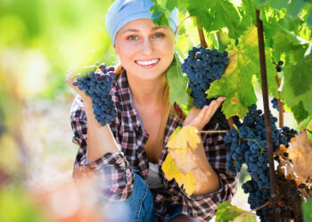 Coldiretti sui bandi PSR riservati ai giovani: una burocrazia testarda e pasticciona