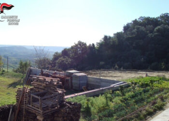 Costruisce muro abusivo a San Mauro Marchesato, denunciato il responsabile dai Carabinieri Forestali
