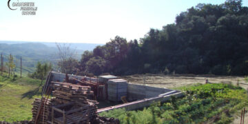 Costruisce muro abusivo a San Mauro Marchesato, denunciato il responsabile dai Carabinieri Forestali