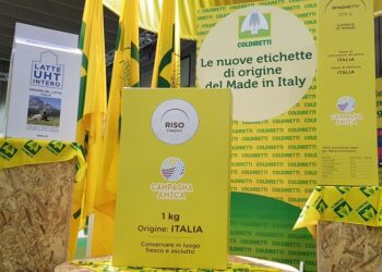 Decreto Legge Semplificazione, arriva l’etichetta d’origine Made in Italy