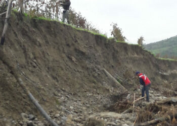 Grido di rabbia e disperazione dei Vignaioli del cirotano, fanno appello alle istituzioni: chiediamo interventi urgenti
