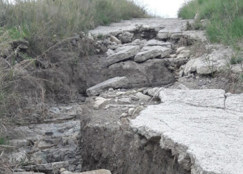 Grido di rabbia e disperazione dei Vignaioli del cirotano, fanno appello alle istituzioni: chiediamo interventi urgenti