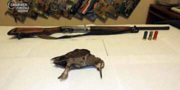 I Carabinieri forestali sorprendono bracconiere nel territorio di Cirò, denunciato 49enne