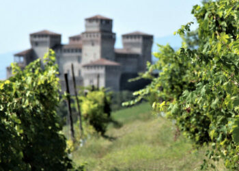 Il vino del vignaiolo di Cirò Francesco De Franco presente a Parma con “I vini biologici, biodinamici e naturali sono realtà”