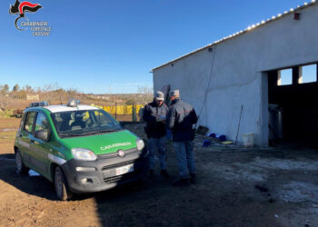 Isola Capo Rizzuto: scoperto dai Carabinieri Forestali un fabbricato abusivo in corso di costruzione