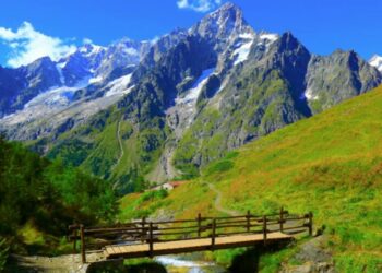 Ritiro candidatura della Sila a Patrimonio Unesco, Corrado (M5S Senato): Il Parco Sila e la Regione chiariscano