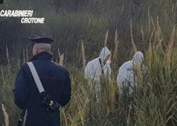Rinvenimento cadavere a Scandale: i Carabinieri avviano le indagini, fermato presunto autore