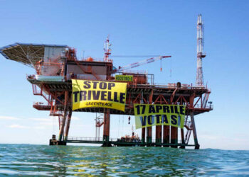 Trivelle, Greenpeace al Governo: «subito una norma per vietare per sempre gli airgun e tutelare i nostri mari»