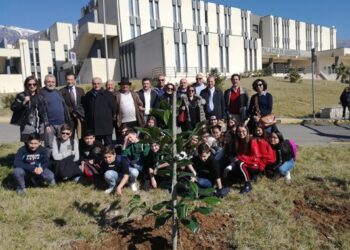 Castrovillari: Messa a dimora oltre 100 piante, sinergia tribunale-comune per l’arredo area del palazzo di giustizia