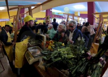 Trasformazione e confezionamento Prodotti agricoli, la L.r. 4/2019 appesantisce gli oneri per gli agricoltori
