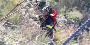 Cuccioli di cani cadono in un burrone, salvati dai Vigili del Fuoco di Petilia Policastro