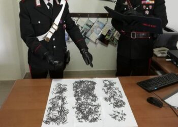 Getta chiodi sulla strada e fa bucare le gomme a decine di automobilisti, identificato e denunciato dai Carabinieri