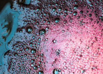 “Il racconto dei lieviti indigeni e altre storie attuali sui lieviti da vino” Venerdi 1 marzo al Polo Agrario di Cutro