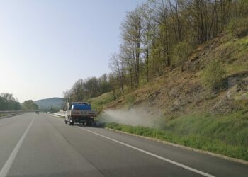 La sen. Corrado sull’uso di erbicidi lungo i margini delle strade statali e sulle linee ferroviarie