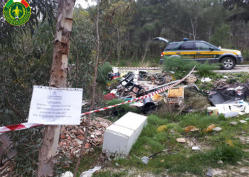 Rifiuti urbani e materiale contenente amianto rinvenuti dalle Guardie Ecozoofile nei comuni di Isola C.R. e Cutro