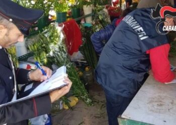 Ruba fiori dalle bare in obitorio per rivenderli, denunciato 45enne