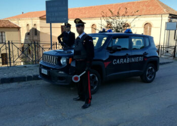 Rubano 7 quintali di agrumi dagli alberi, arrestati due marocchini dai Carabinieri
