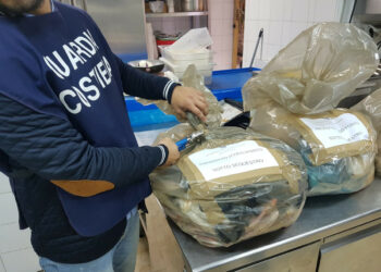 Sequestrati dalla Guardia Costiera oltre 6 quintali di prodotti ittici, elevate sanzioni per 57000 euro