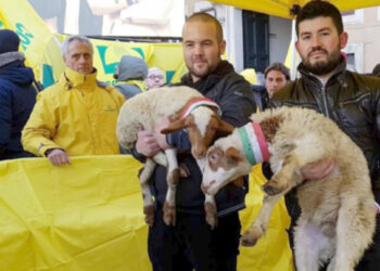 Sos pastori, domani a Reggio Calabria arriva il primo Pecorino Day