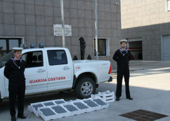 Trasportava bianchetto di illecita provenienza, sequestrato dalla Capitaneria di Porto di Crotone