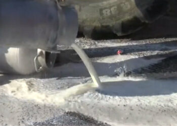 Protesta pastori del Crotonese, Parentela (M5S) annuncia misure di sostegno: “20milioni nel decreto Latte e registro telematico”