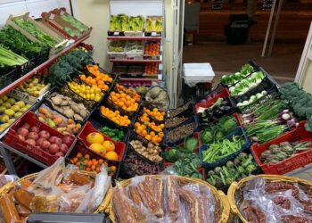 Amo la mia terra e così ho deciso di non emigrare, la storia di Dante di Cirò